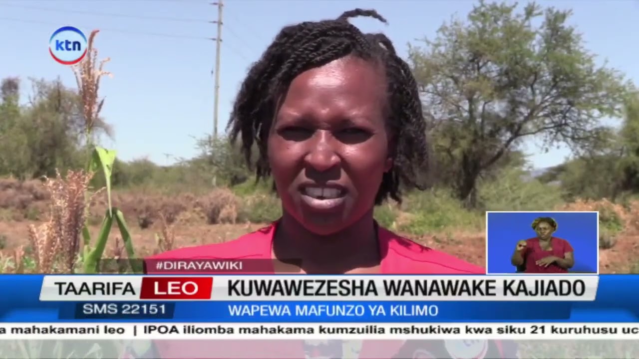 Women in Elang’ata Wuas, Kajiado turn to agriculture for their livelihood.