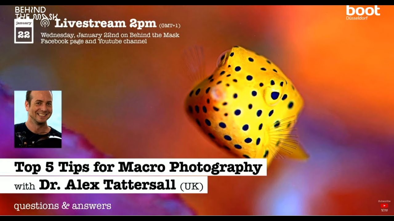 TOP 5 TIPS FOR MACRO PHOTOGRAPHY with Dr. Alex Tattersall