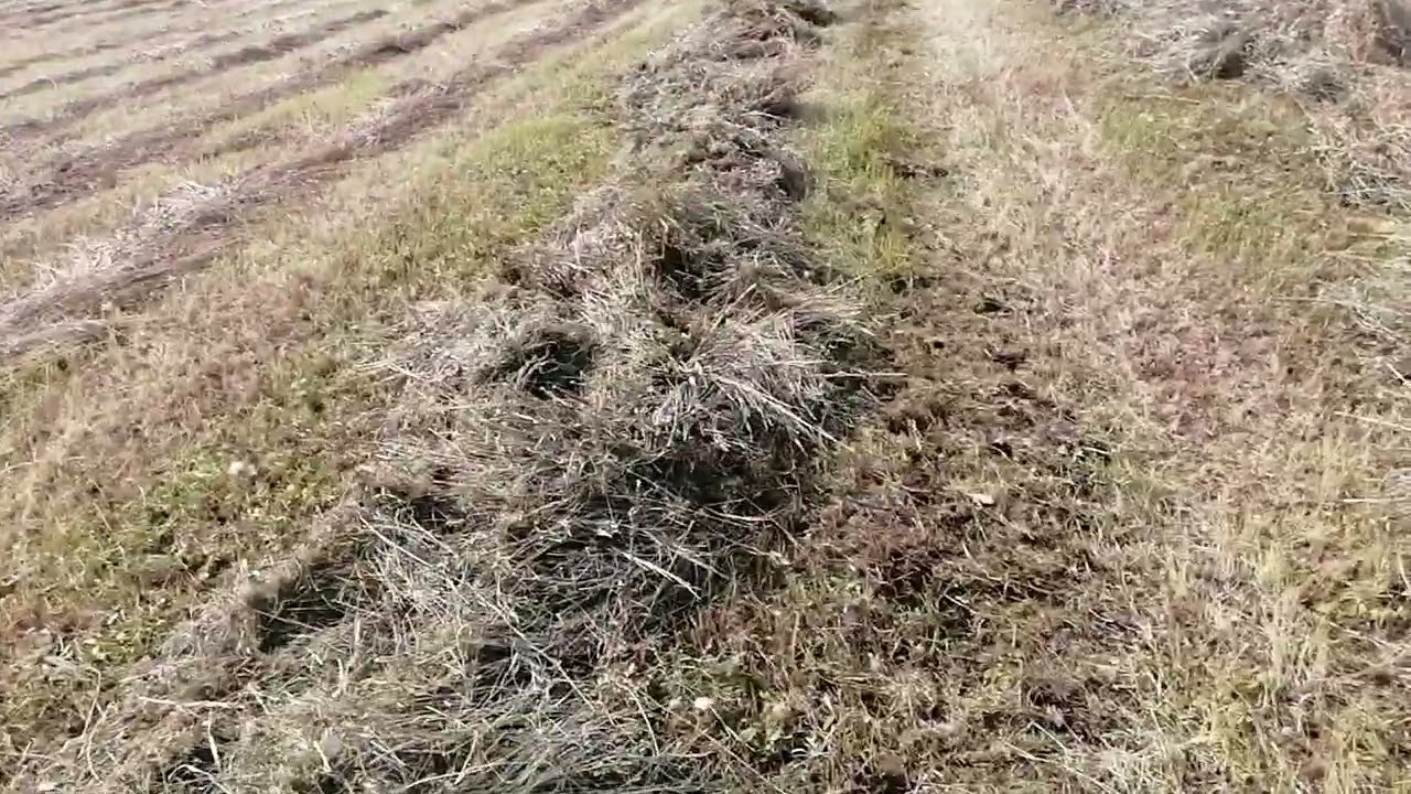 испытание самодельных граблей