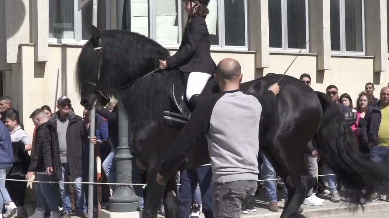 Sfilata di cavalli in onore della festa di San Giuseppe a Ribera (AG) 2023  (GOV. Nicola Montalbano)