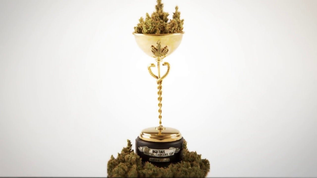 Cindy White Strain from Green Solution