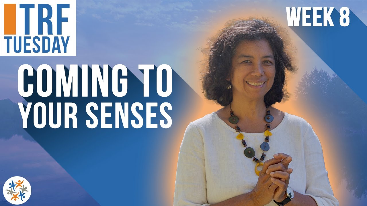 Body Scan in Stillness: Come to Your Senses w/Licia Sky ~ TRF Tuesday - Session 8