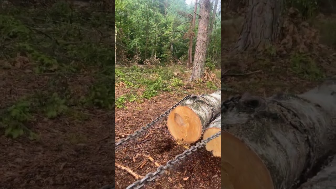 Zrywka drewna p&oacute;łpodwieszona| VALTRA VALMET 8550 | STIHL362