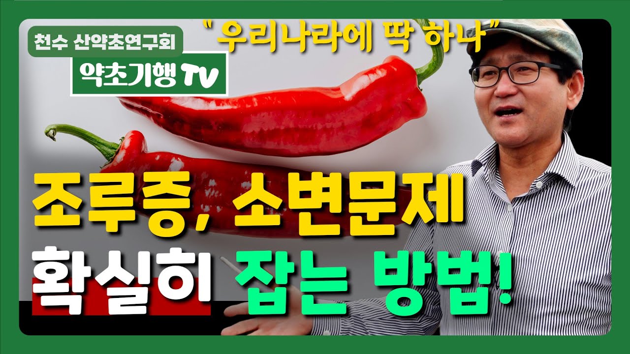 조루증,소변문제 확실히 잡는 방법 #요실금 [약초방송]