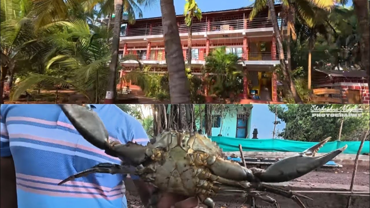 जामदूल रिसॉर्ट, खेकड्यांची शेती आणि बरंच काही  | Jamdul Resort, Green crab farming and much more...