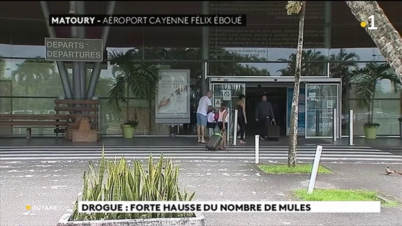 Drogue : forte hausse du nombre de mules