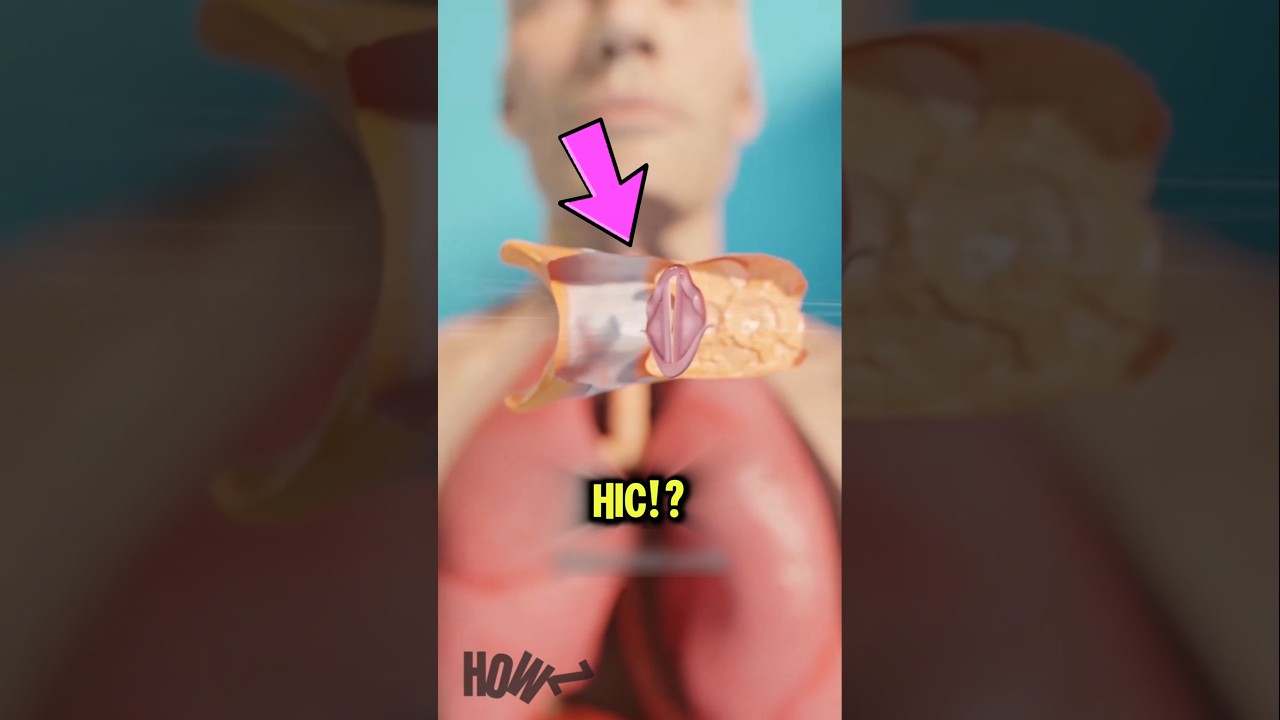 Why Hiccups Had A HIC Sounds...Here's Why!😱