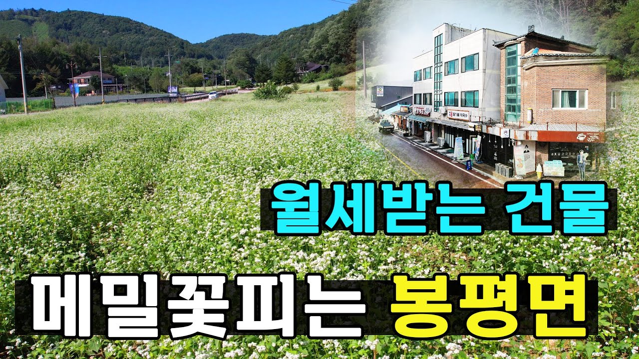 메밀꽃피는 평창 봉평면에 월세받는건물 어떠신가요? 살기좋은 봉평매물 한번 구경하세요~
