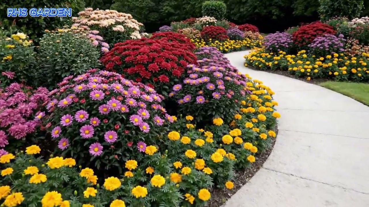 Garden Full of Blooming Flowers - Impressive Garde