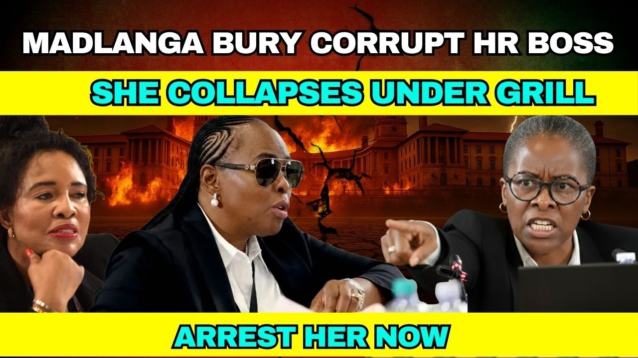 Madlanga BURIES Corrupt HR Boss! She COLLAPSES Under Grill