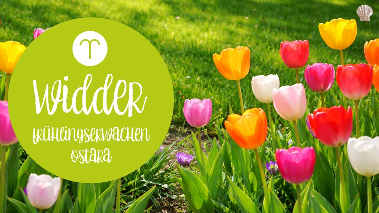 WIDDER ♈️Frühlingserwachen 🌷 Ostara ⚖️ Tag- und Nachtgleiche