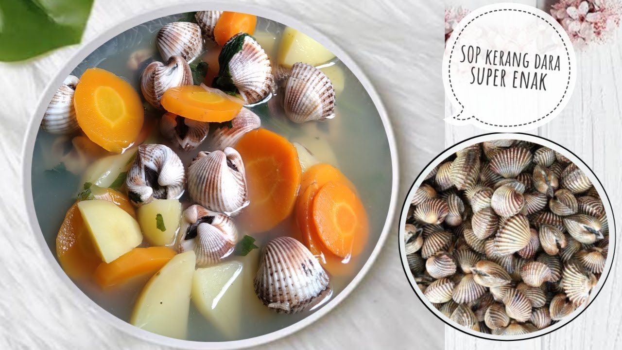 Resep Sop Kerang Dara || Kuahnya Gurih dan Bumbu Praktis