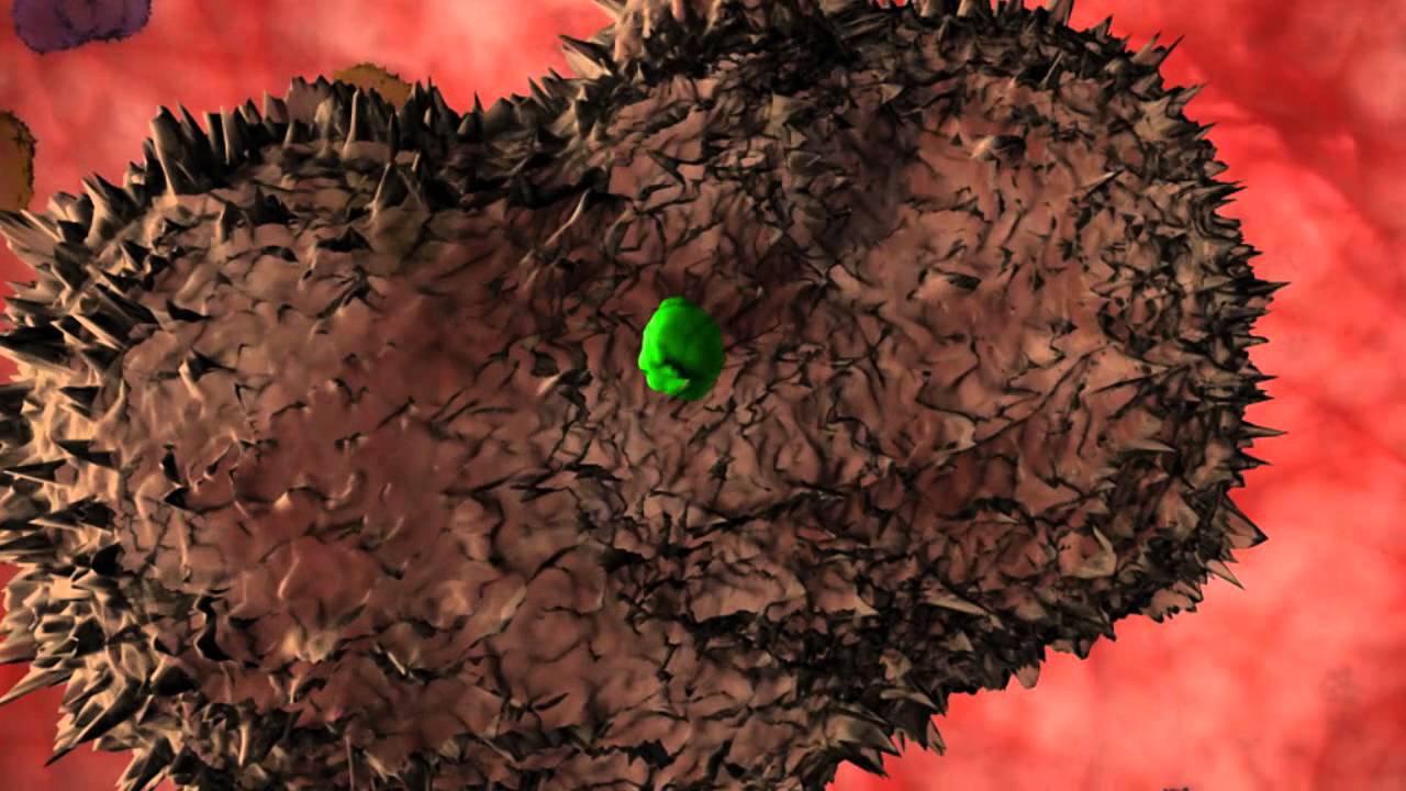 Tularemia Research in NIAID Laboratories