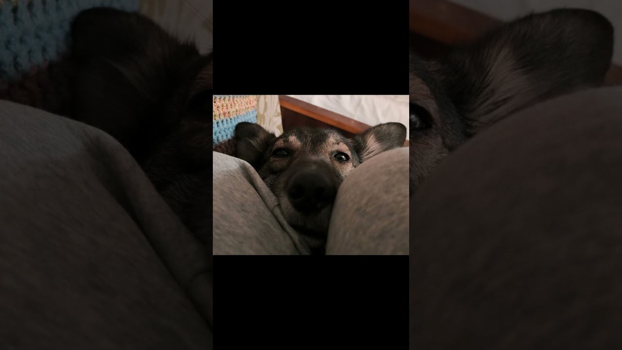 Тише 