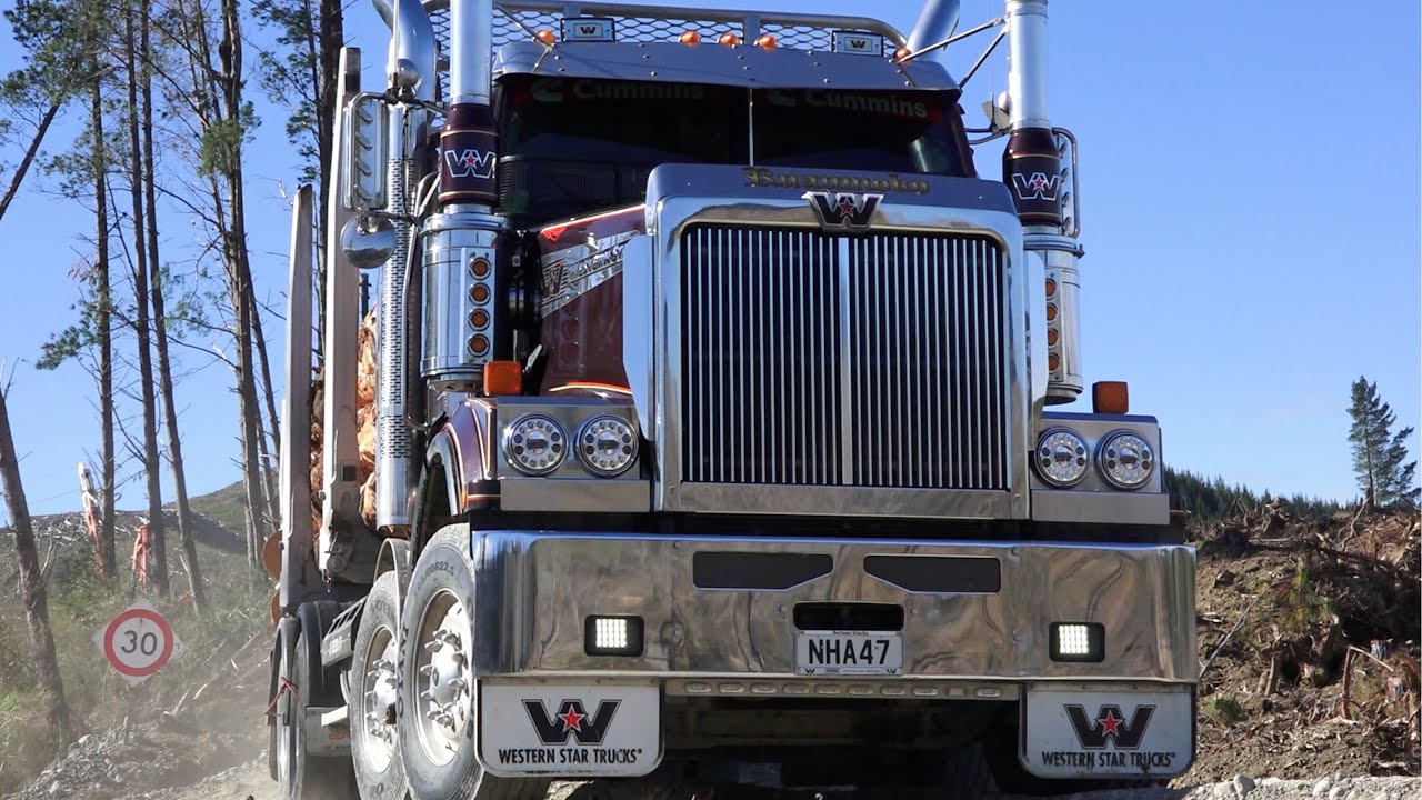 Western Star 4884 FXC 8x4 | Truck Test | Voices in the Trees