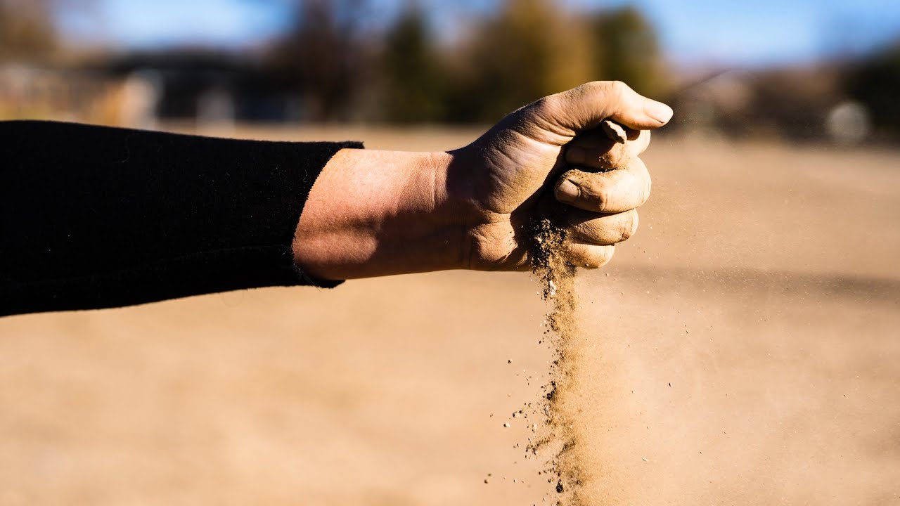 New Year and New Beginnings for Sierra Flower Farm!