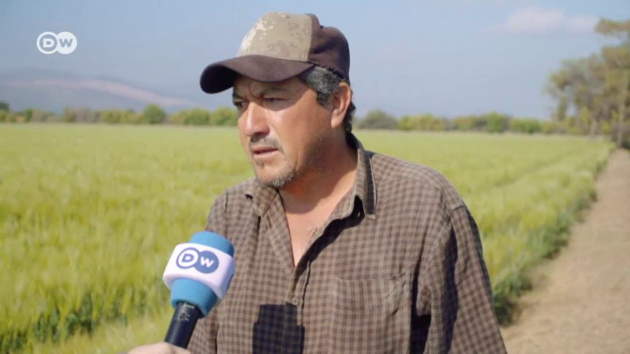 México apuesta por los biofertilizantes