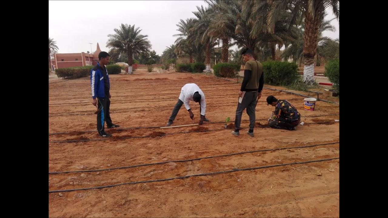 المعهد التكنولوجي المتخصص للتكوين في الفلاحة الصحراوية بتيميمون - إشهار الدخول 2022