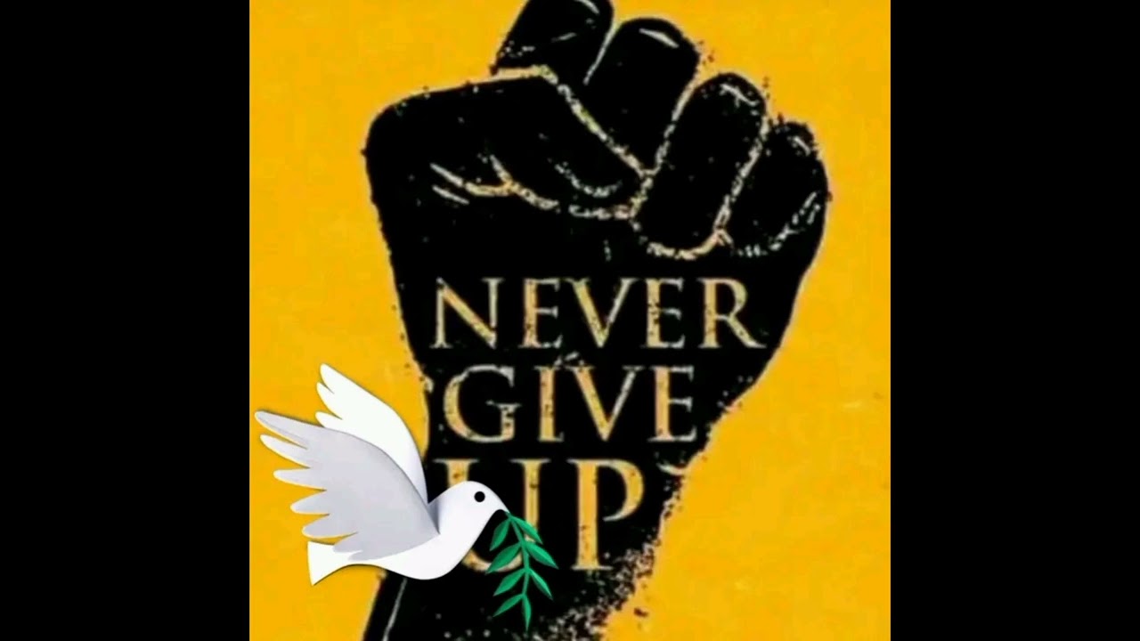 MAY B - TE TAIMO (prod by djass pro)