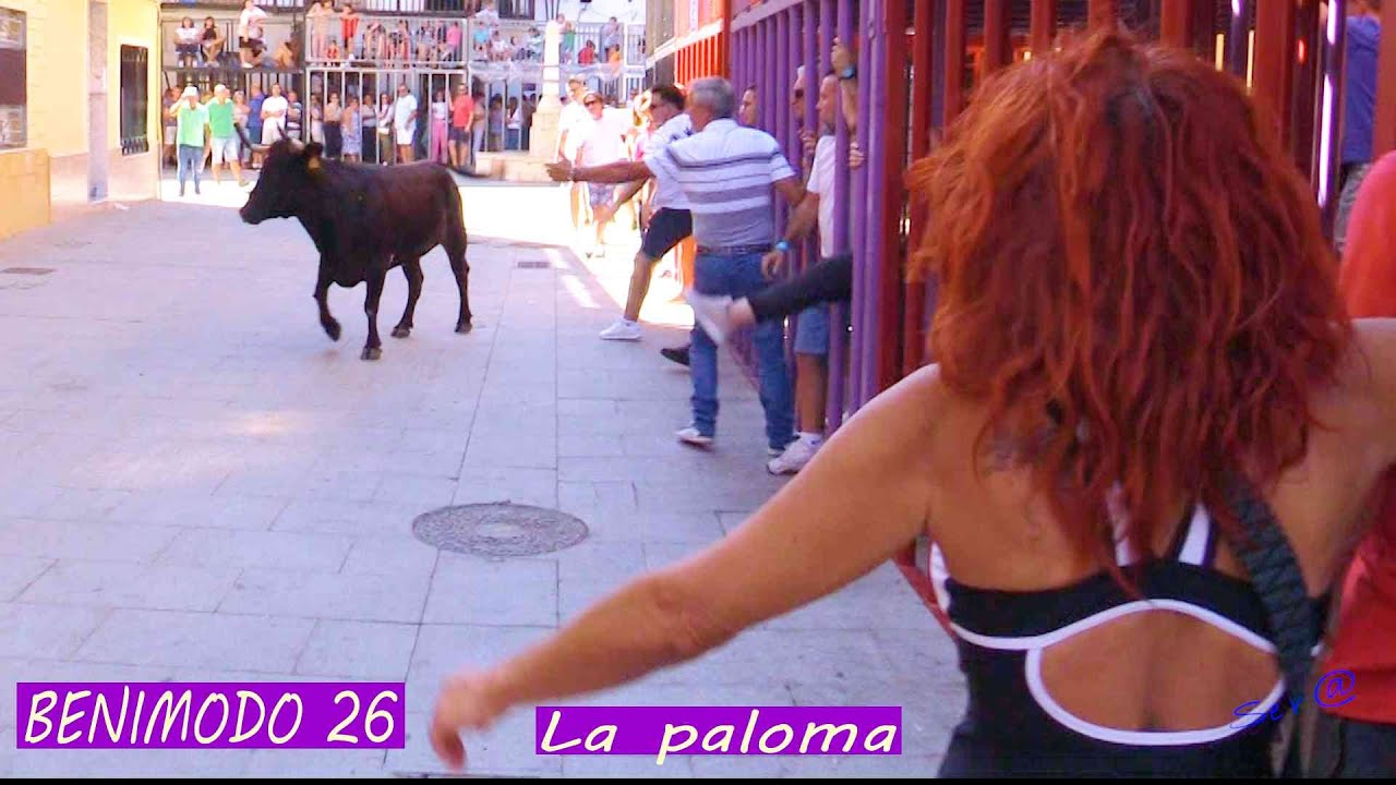 🟢BENIMODO 27 INTEGRO Ganadería La Paloma
