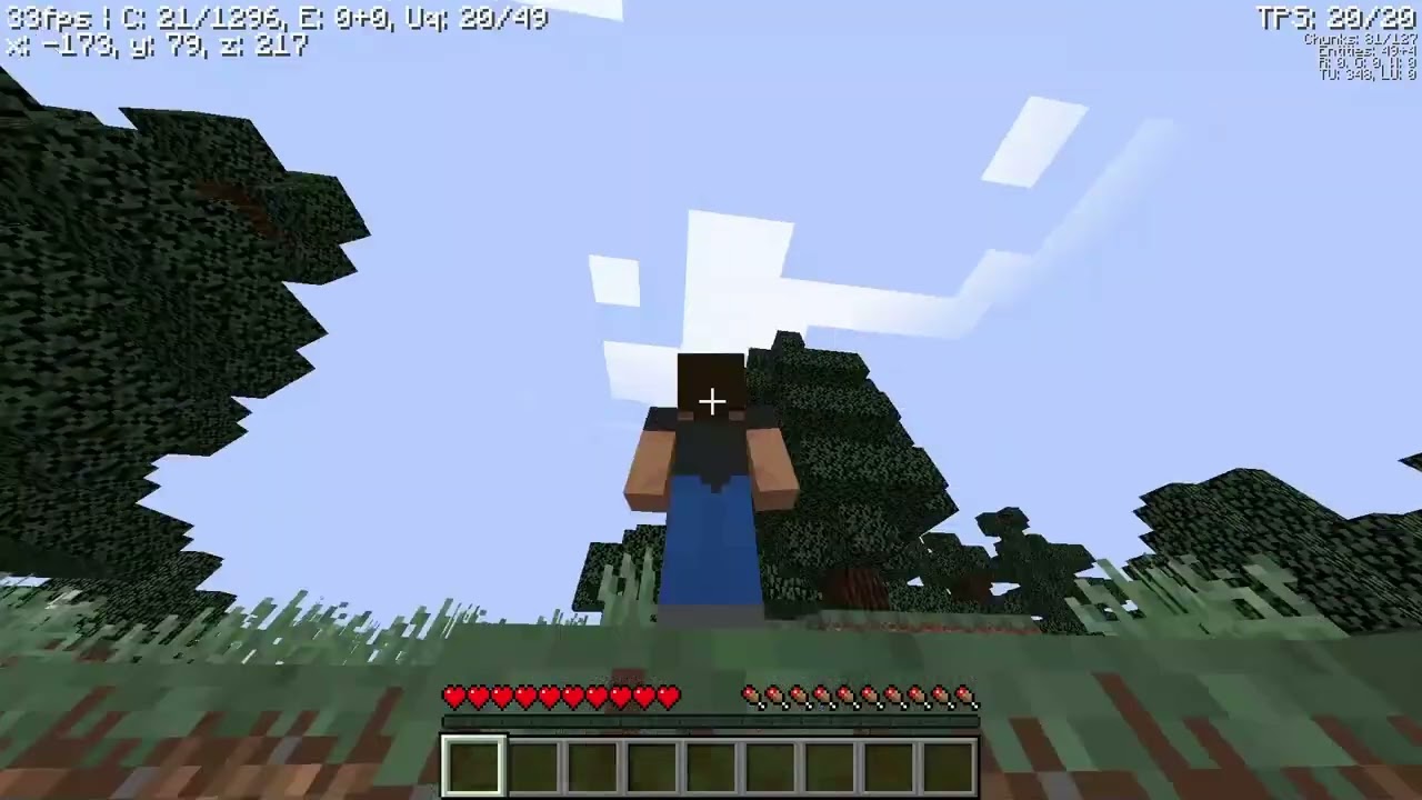 ilk vidiom -Minecraft