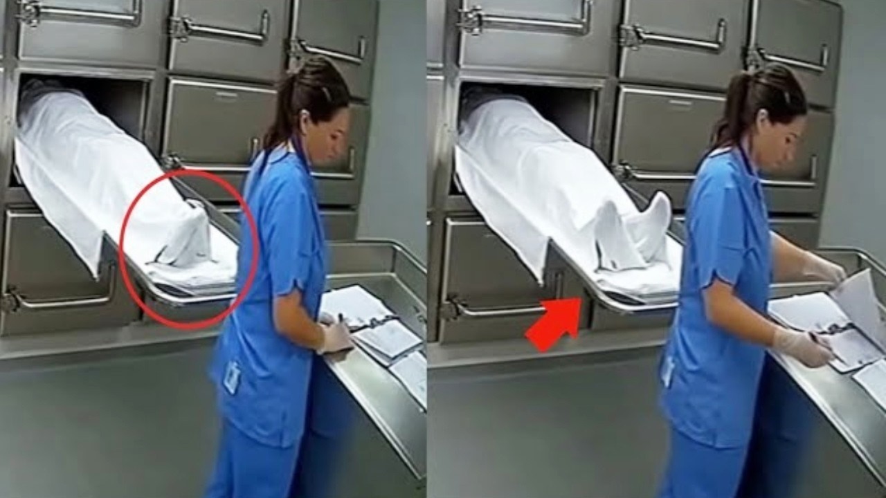 Камера Наблюдения В Больнице Сняла Такое, Что Никто Не Ожидал Увидеть!
