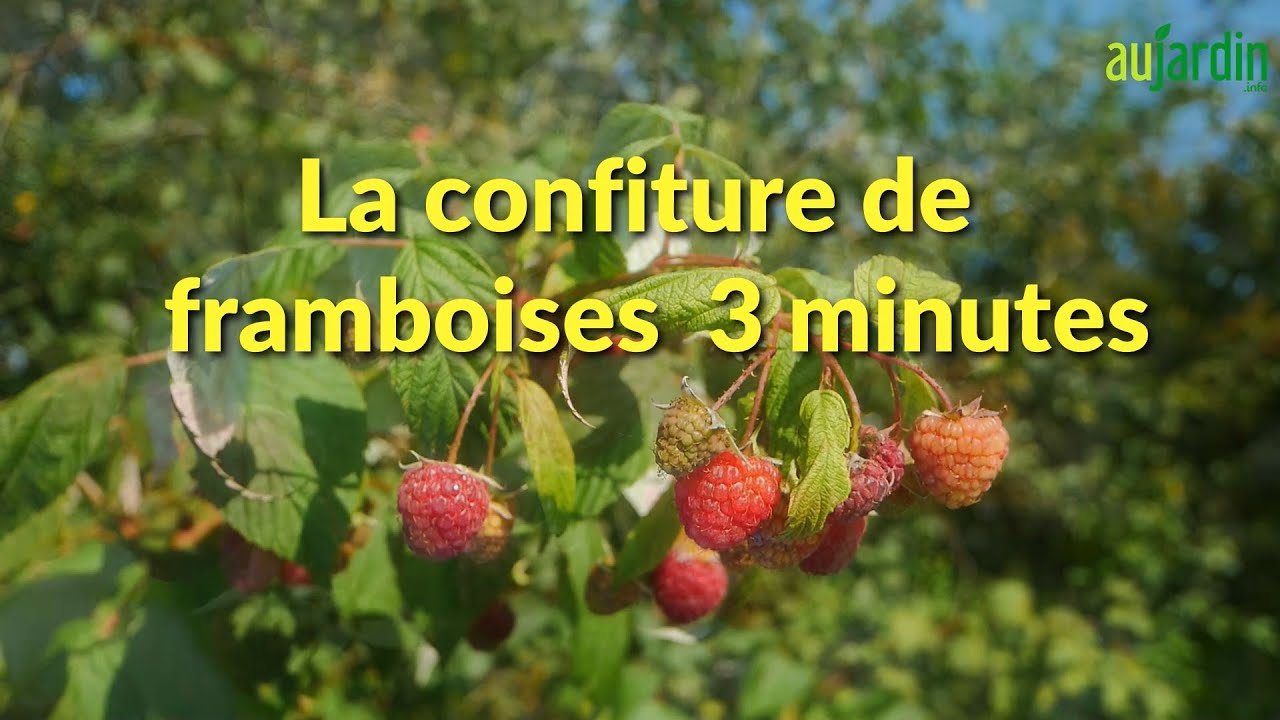 La CONFITURE de FRAMBOISES 3 MINUTES, une recette facile et rapide