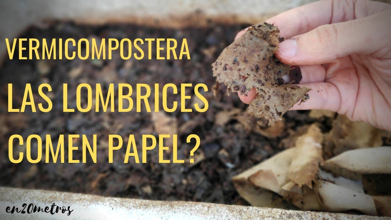 ALIMENTAR CON PAPEL LOMBRIZ ROJA: experimento vermicompostera || en20metros
