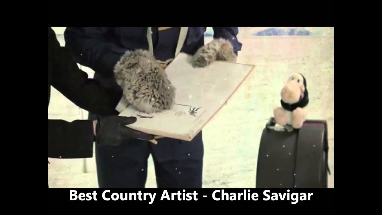 Love Music Awards - Best Country Artist