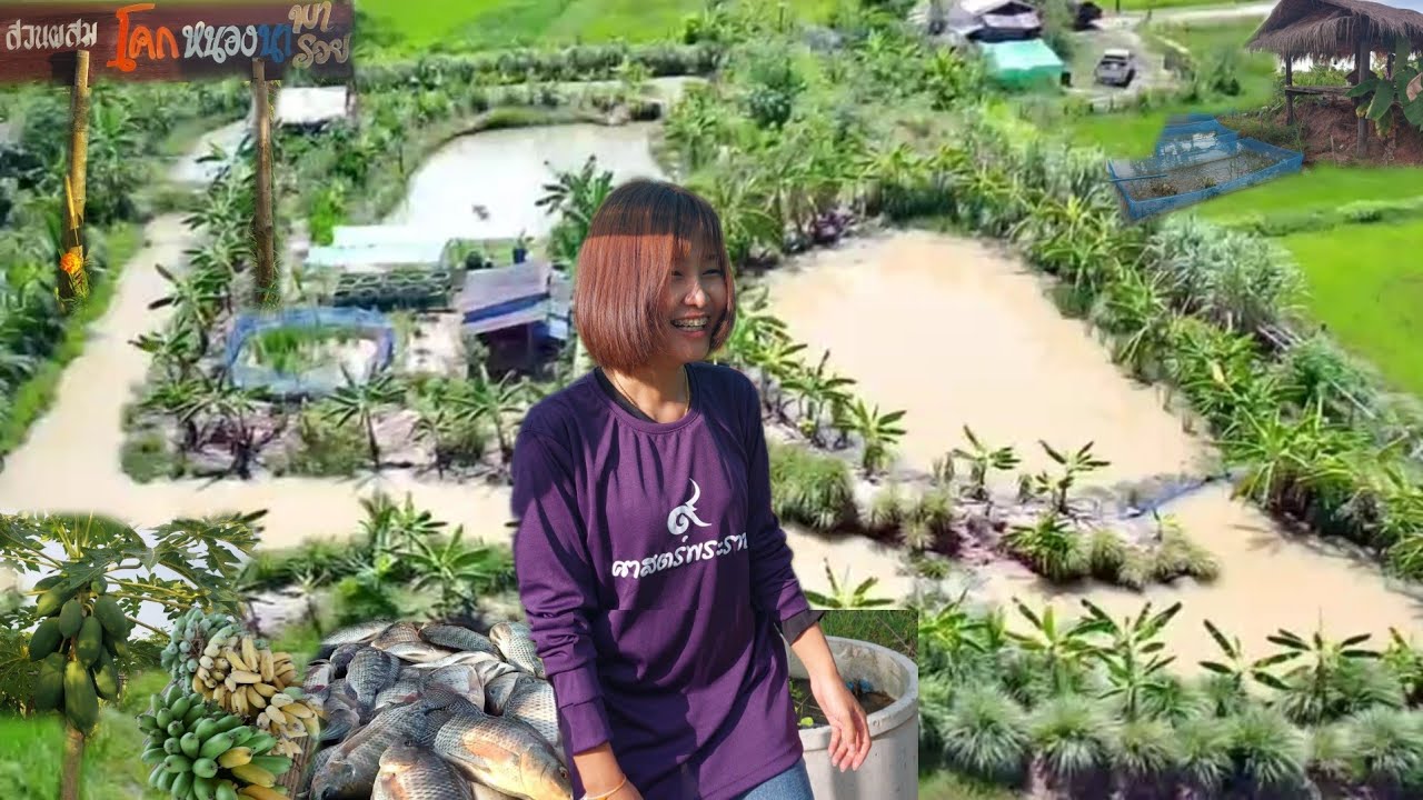 สาวสวยอายุ27ทำโคกหนองนา1ไร่สวยงามอลังการสุดๆ!!ความผิดพลาดก็เหมือนเงินค่าเทอม...จ่ายพื่อเรียนรู้!!