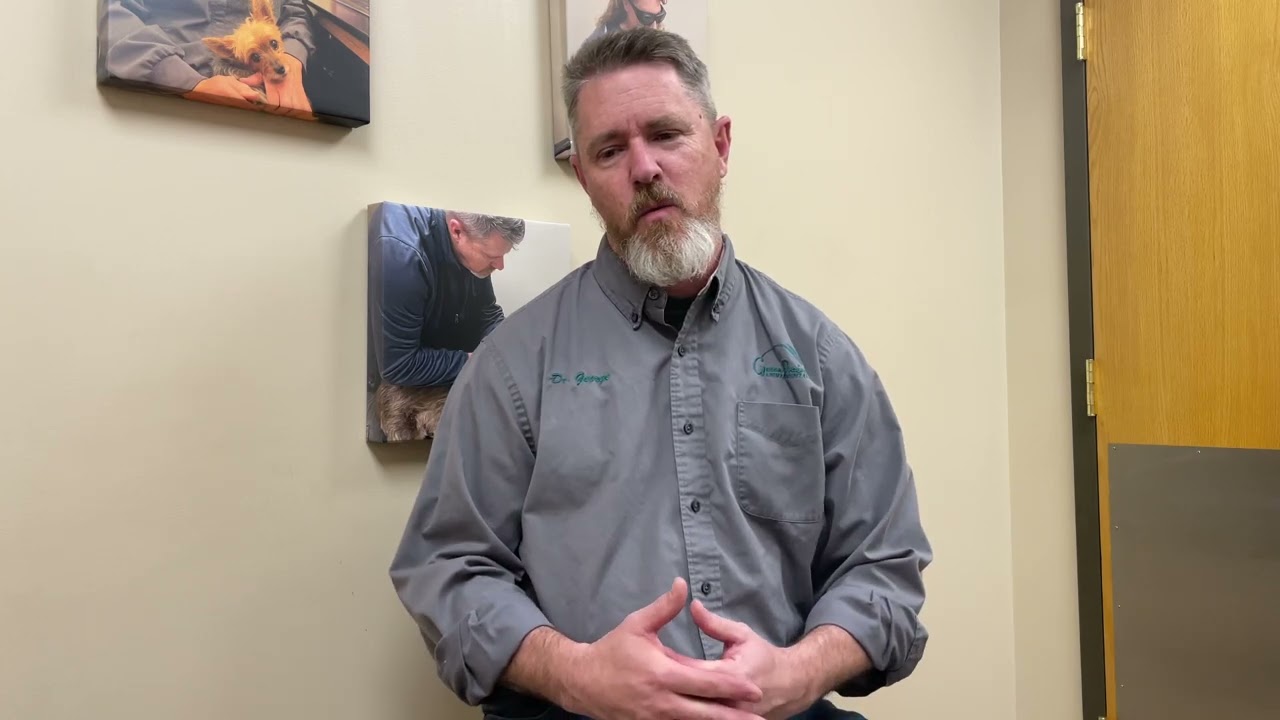 What is the difference between OFA & PennHIP X-rays for dogs