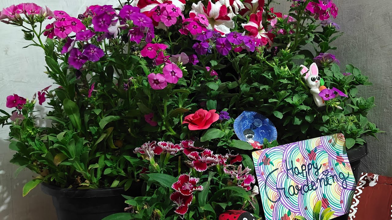 biutefol flowers and home decoration is live