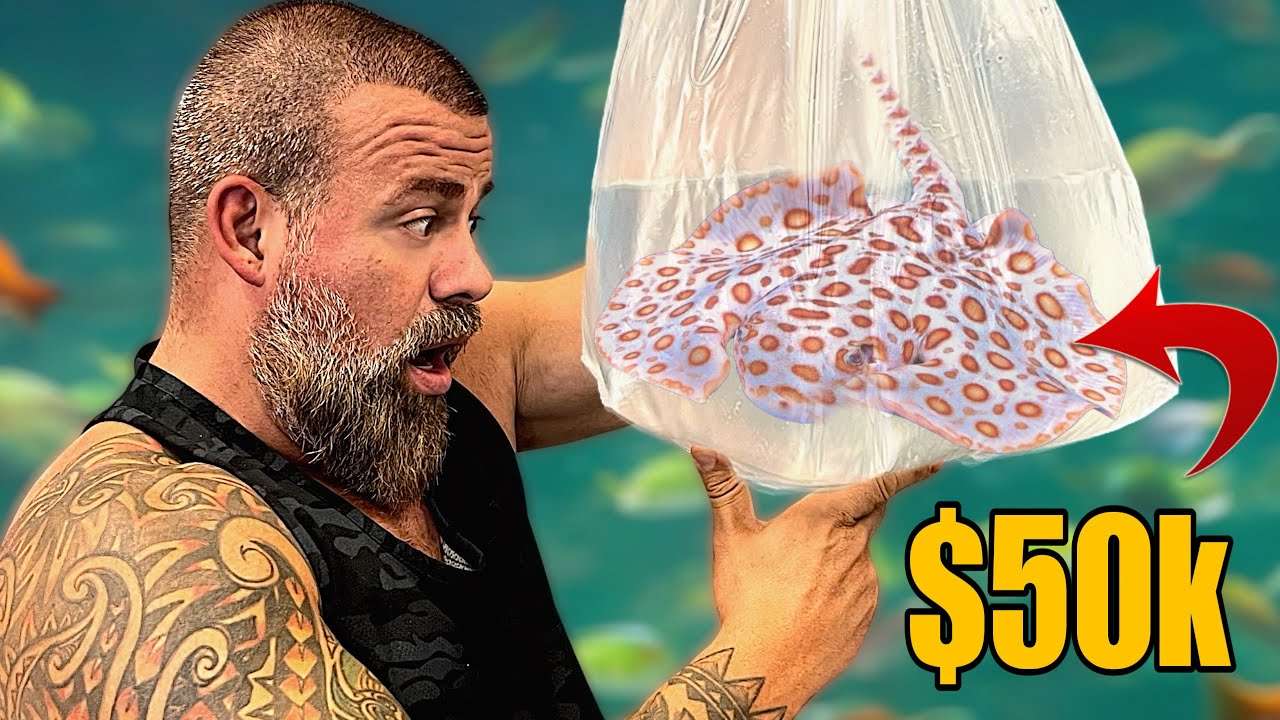 THE CRAZIEST FISH UNBOXING - I ALMOST GOT MY DREAM FISH!!!😩