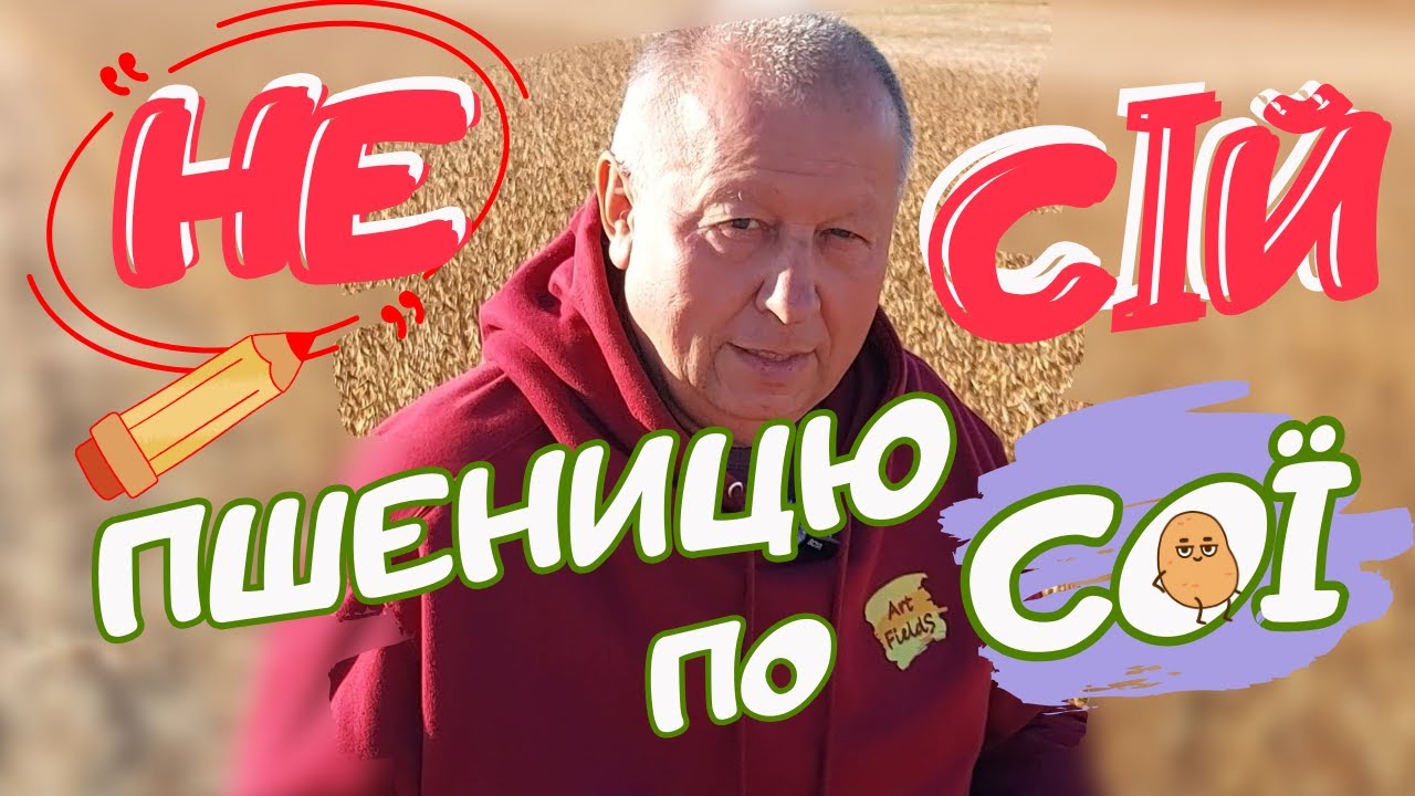 ⁉️ЧОМУ ПІСЛЯ СОЇ🌱 (не) БАЖАНО СІЯТИ ПШЕНИЦЮ🌾