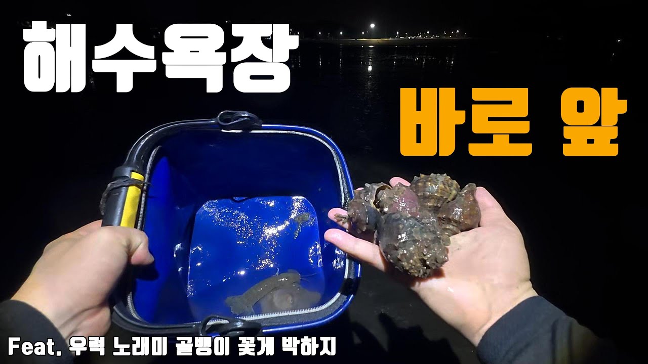 영종도 야간 해루질! 해변 바로 앞이 노다지구나!