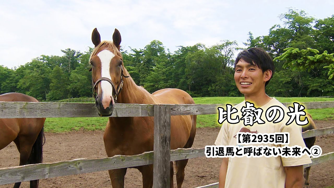 第2935回 「引退馬と呼ばない未来へ (2)」｜比叡の光