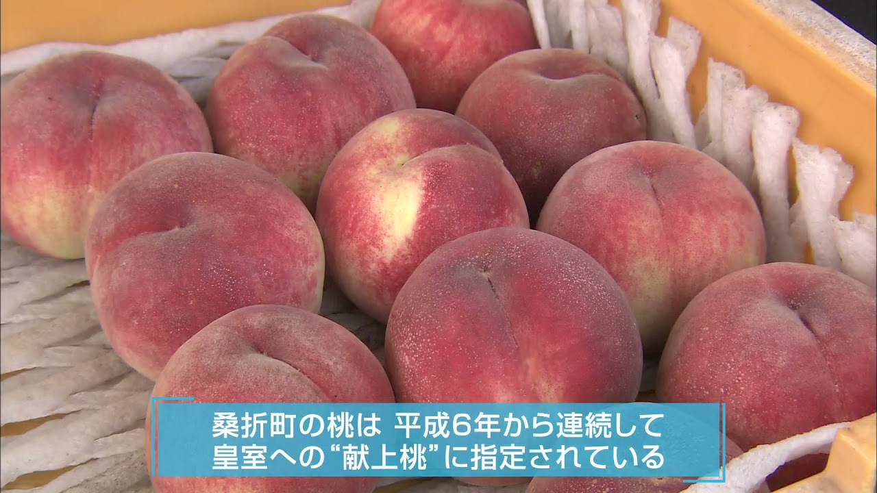 【福島県桑折町PR映像】住み続けたいまち 住みたいまち 桑折 5分版
