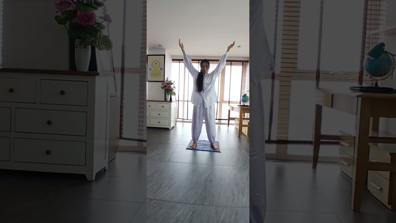 Bài Công Pháp Thứ Ba - Luyện Pháp Luân Công - Nhạc Việt