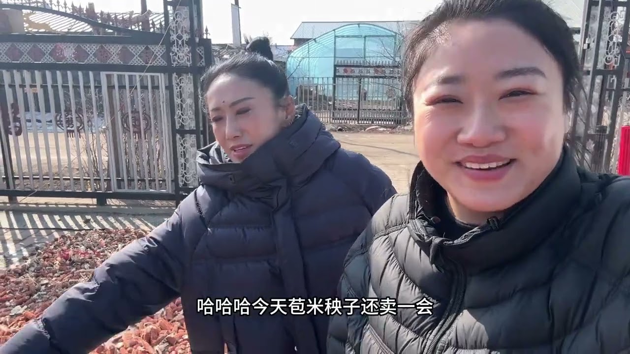 今天花3千多买了苞米籽，我奶又去别人家地里捡玉米了！ 今天花3千多买了苞米籽，我奶又去别人家地里捡玉米了！#三农生活 #优质农产品 #新农人计划