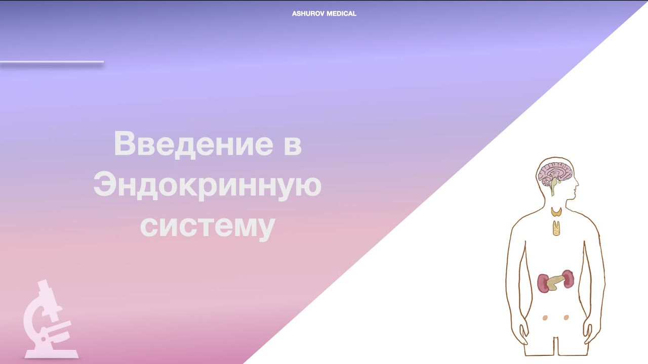 Введение в Эндокринную систему. Физиология. Биохимия