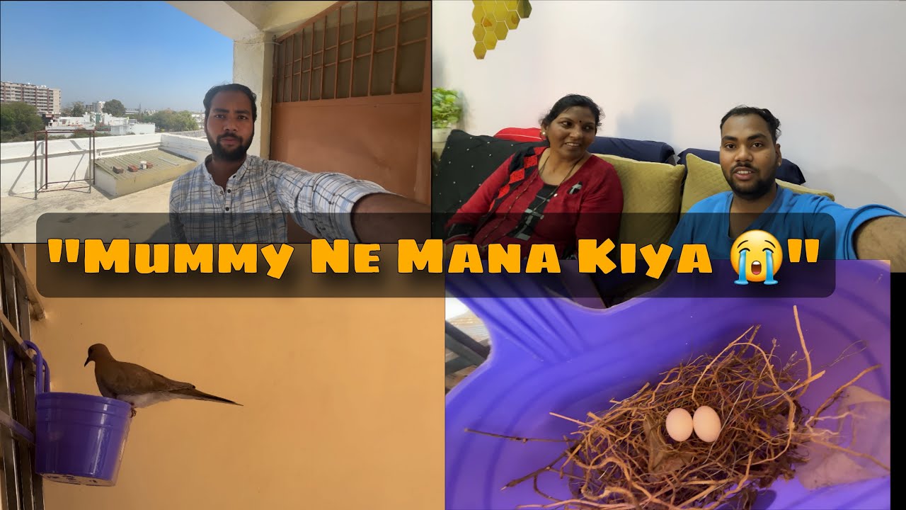 “Mummy ne AC lene se mana kiya 😳 | Aur ghar me aa gaye kabootar ke ande 🥚”