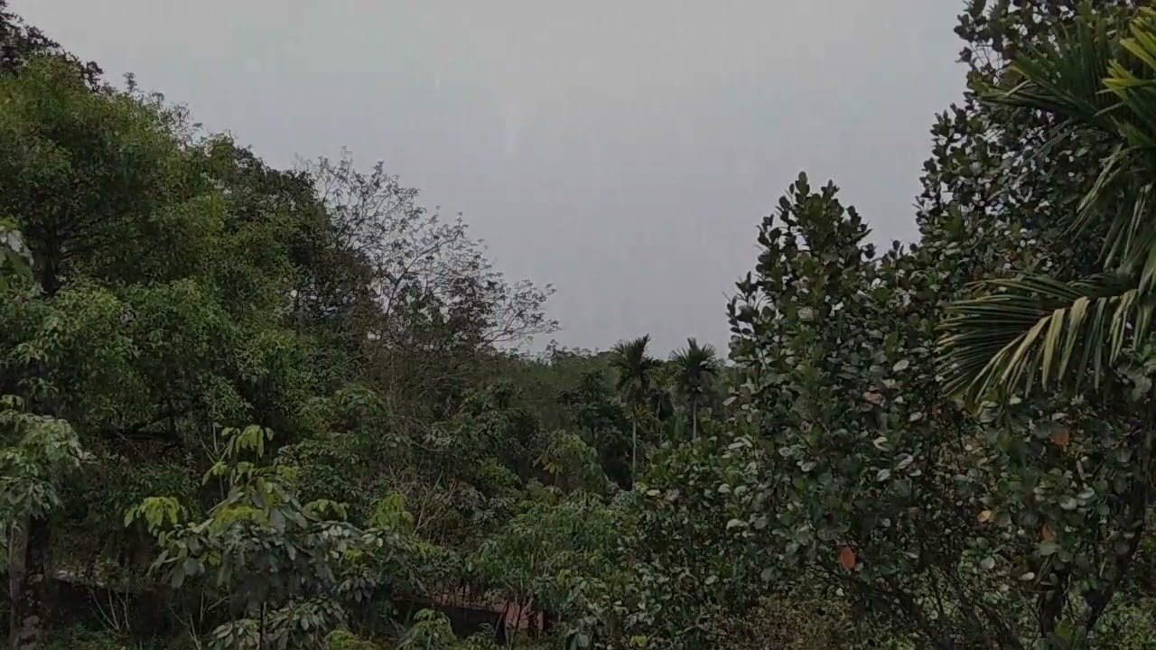 relax your mind with rain and thunder sounds | rain for sleeping