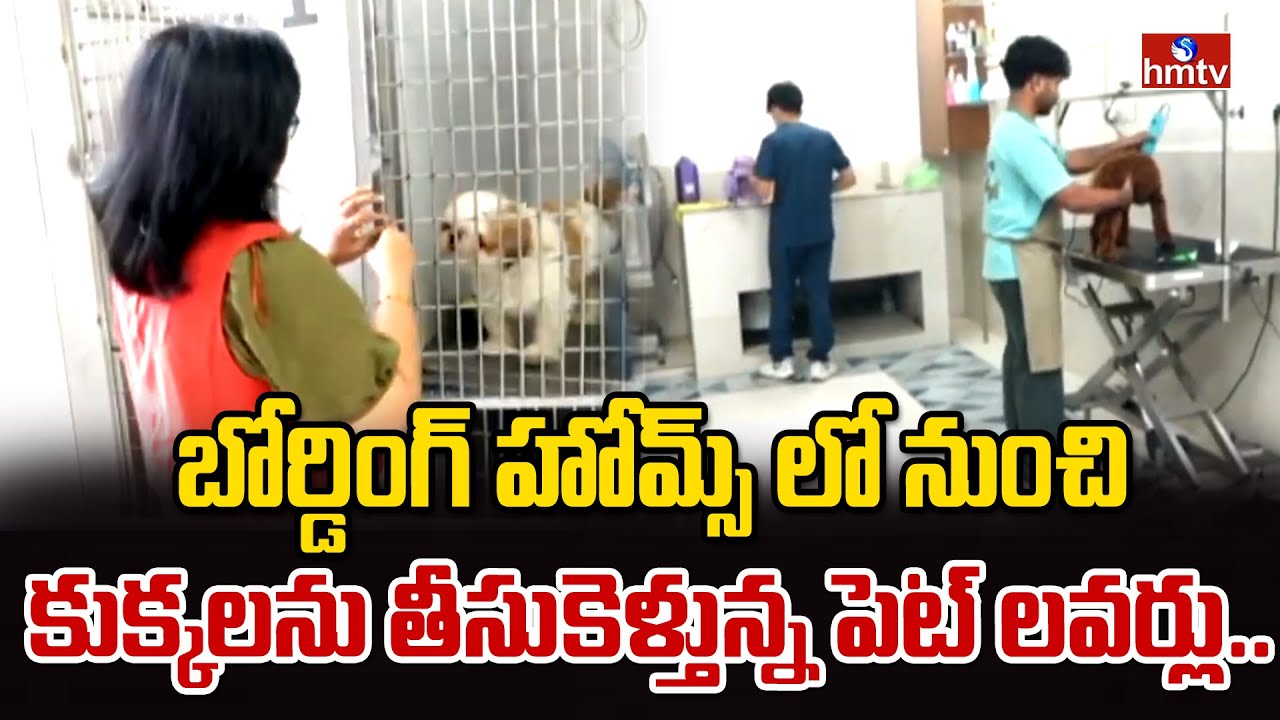 బోర్డింగ్ హోమ్స్ లో నుంచి కుక్కలను తీసుకెళ్తున్న పెట్ లవర్లు.. | sevenoaks pet hospital | hmtv