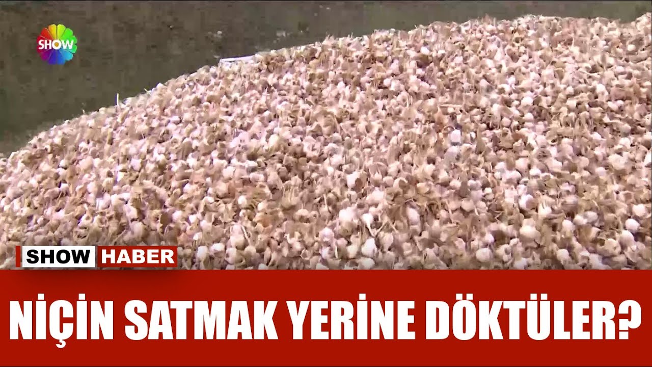 Yol kenarına sarımsak döktüler