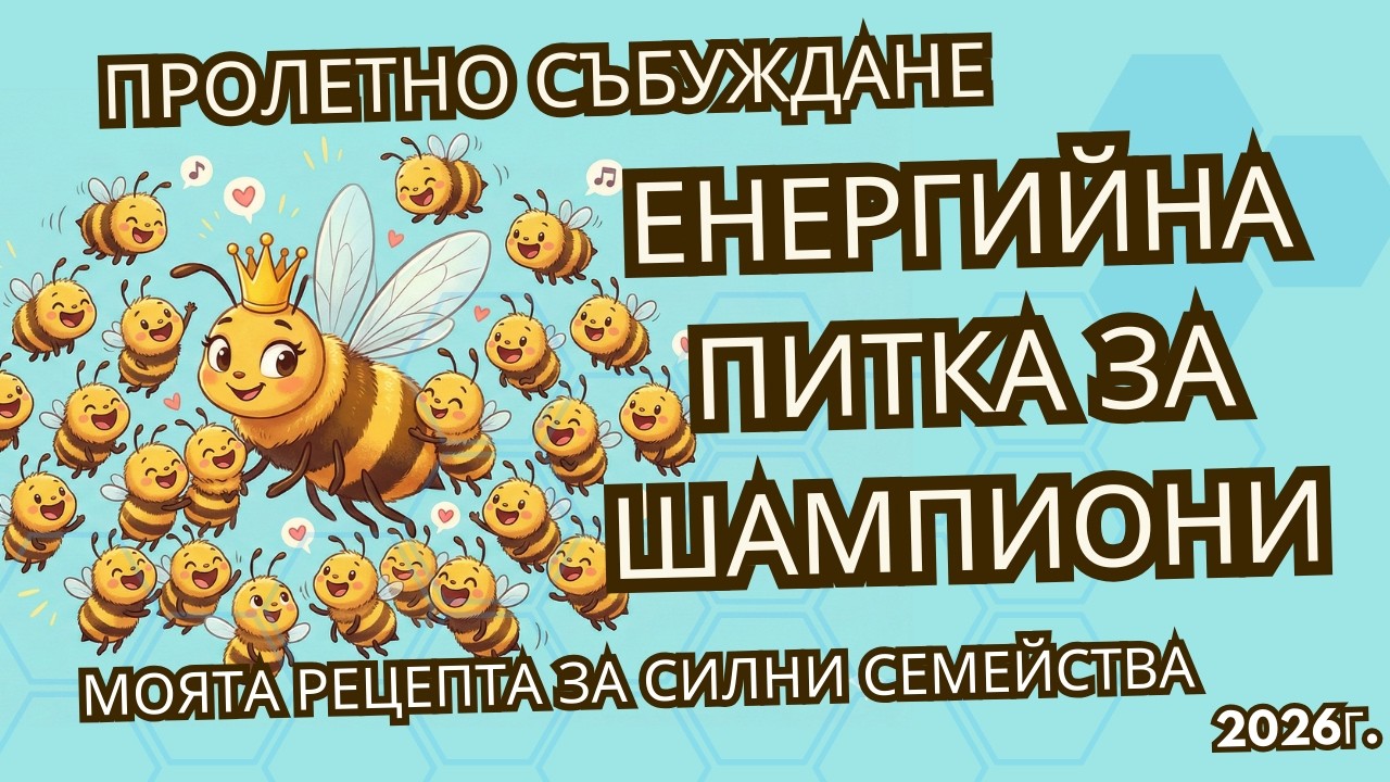 „Енергийна питка за шампиони: Моята рецепта за пролетно подхранване“