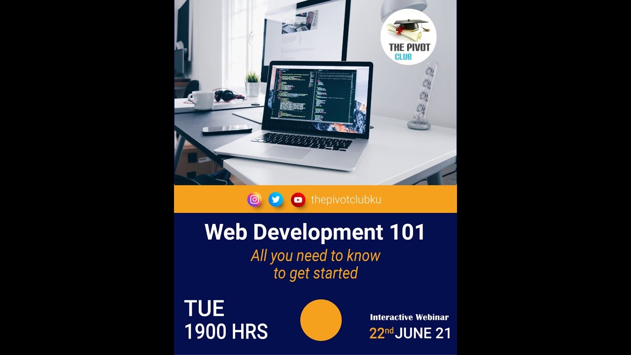 Live Interaction with a Professional Web Developer
