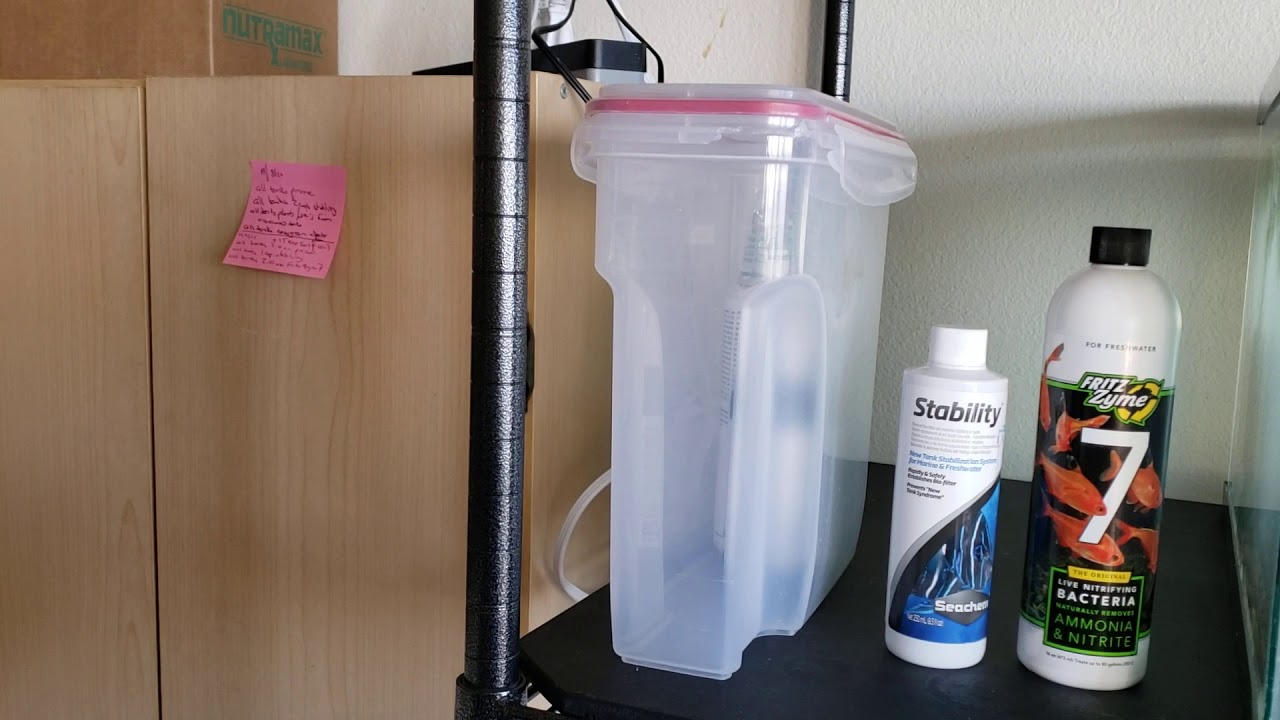 Quickly Cycling an Aquarium, Beneficial Bacteria Supplements, Bacterial Bloom Cloudiness
