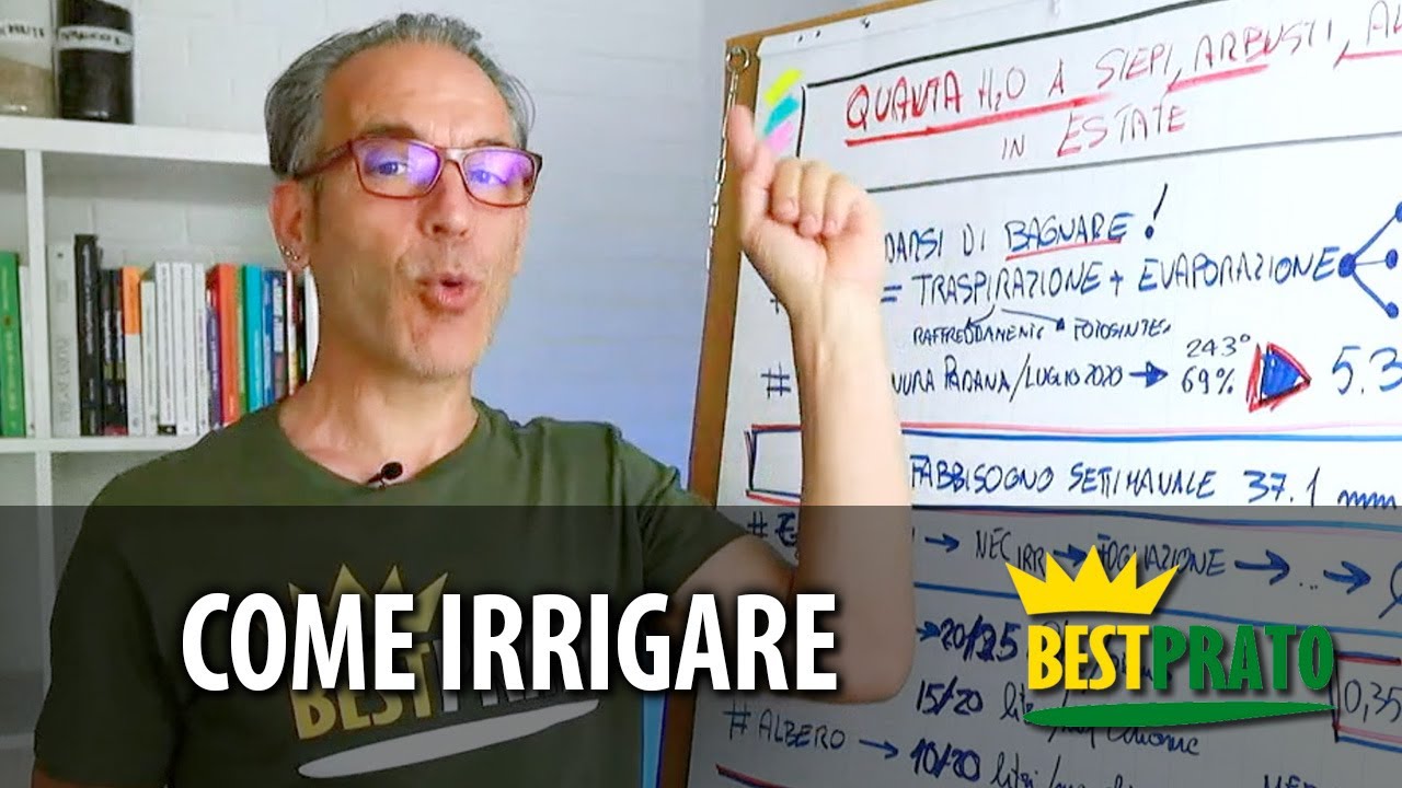 Come IRRIGARE Siepi, Arbusti e Alberi in Estate [PARTE 1]