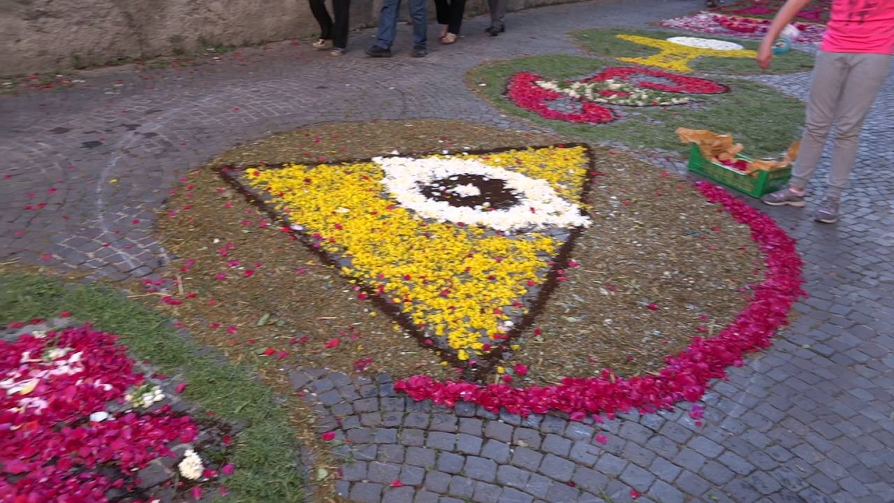 Come si sistemano i petali di fiore per preparare l'Infiorata a Campobasso 00017