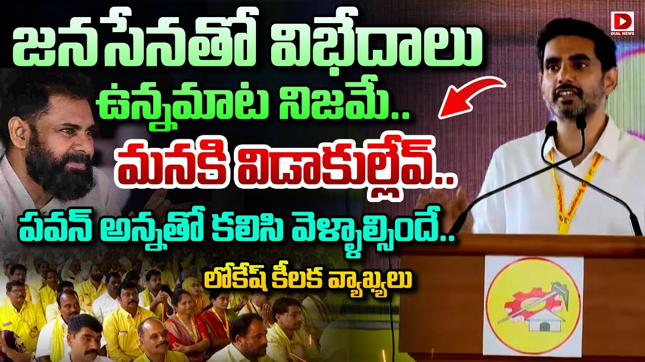జనసేనతో విభేదాలు ఉన్నమాట నిజమే.. || Minister Nara Lokesh Words Over Janasena Party || Dial News
